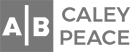 Industry partner logo
